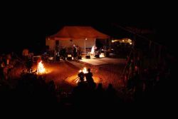 2016 Woodroot 10 2016 Woodroot 10
